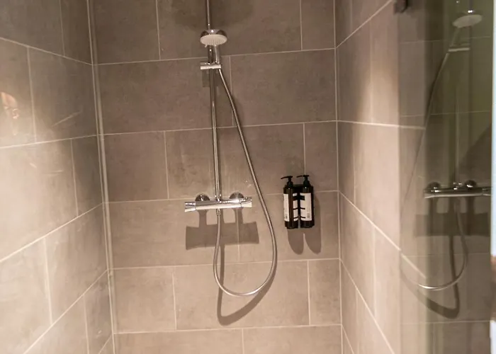 Distrikt Amsterdam מלון זנדאם