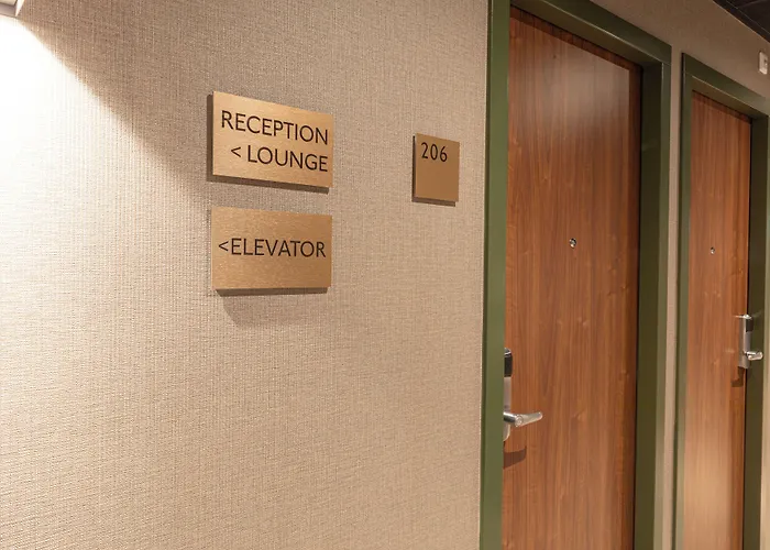 Distrikt Amsterdam זנדאם